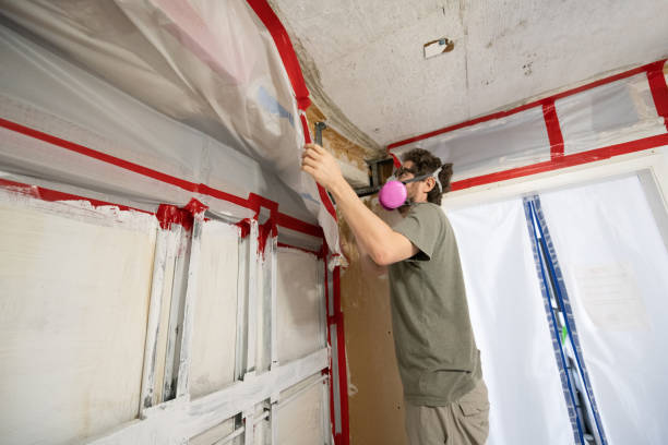 Mold Remediation for Vacation Homes in Winston Salem, NC