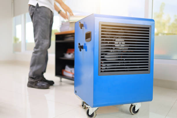 Mold Documentation for Insurance Claims in Winston Salem, NC